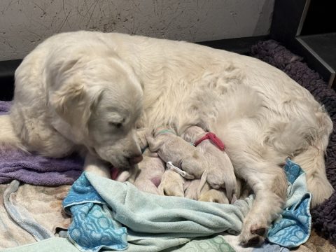 2025 Moeder Florie op geboortedag Faya